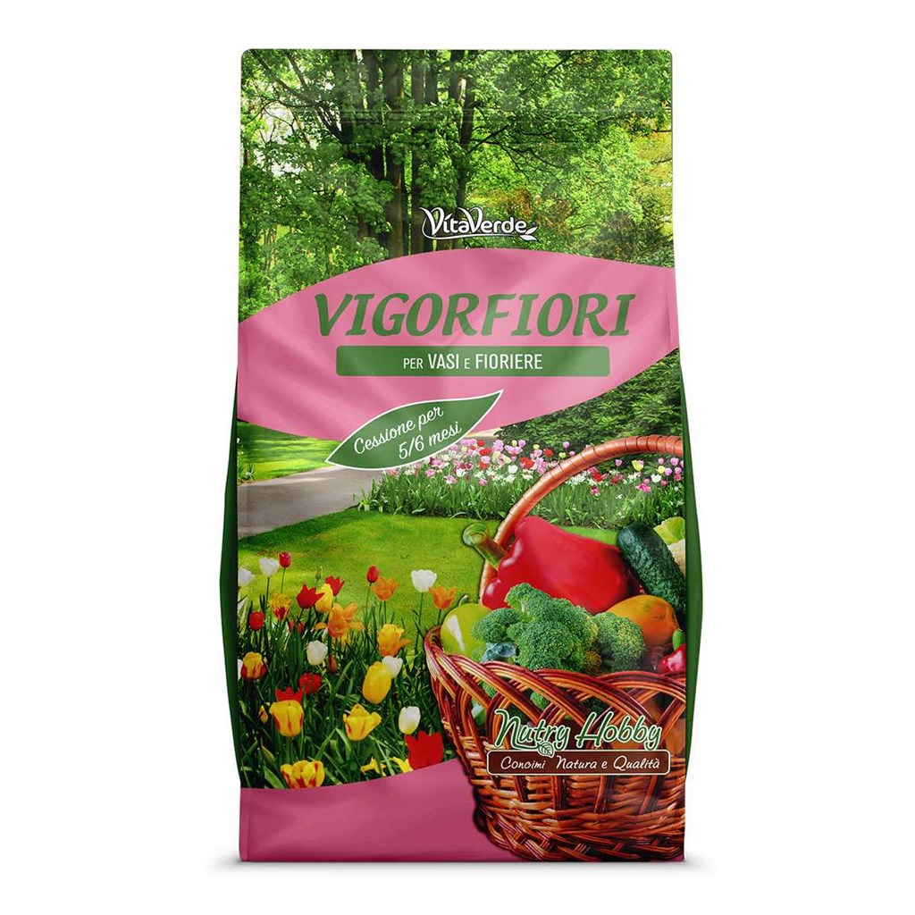 VIGORFIORI  KG. 4